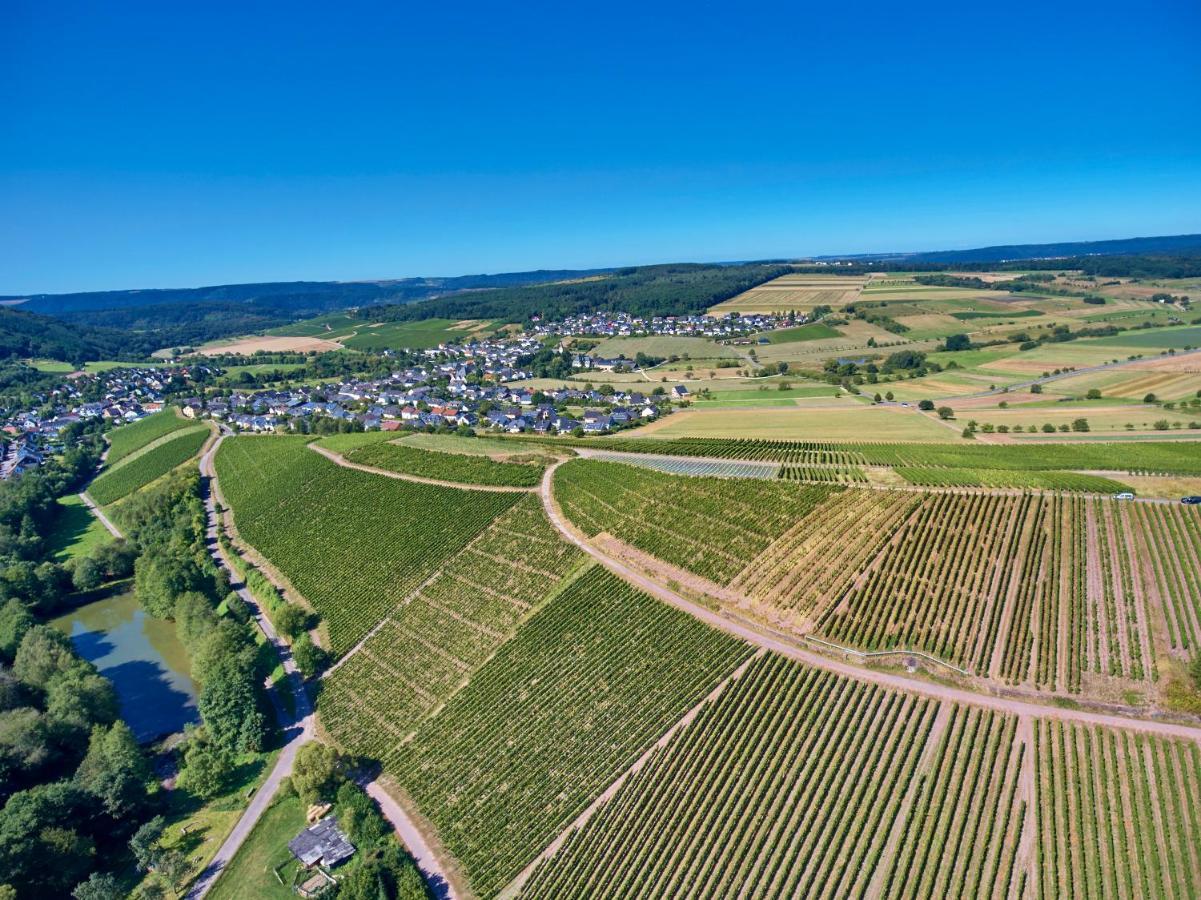 Ferienweingut Willems Oberemmel 외부 사진