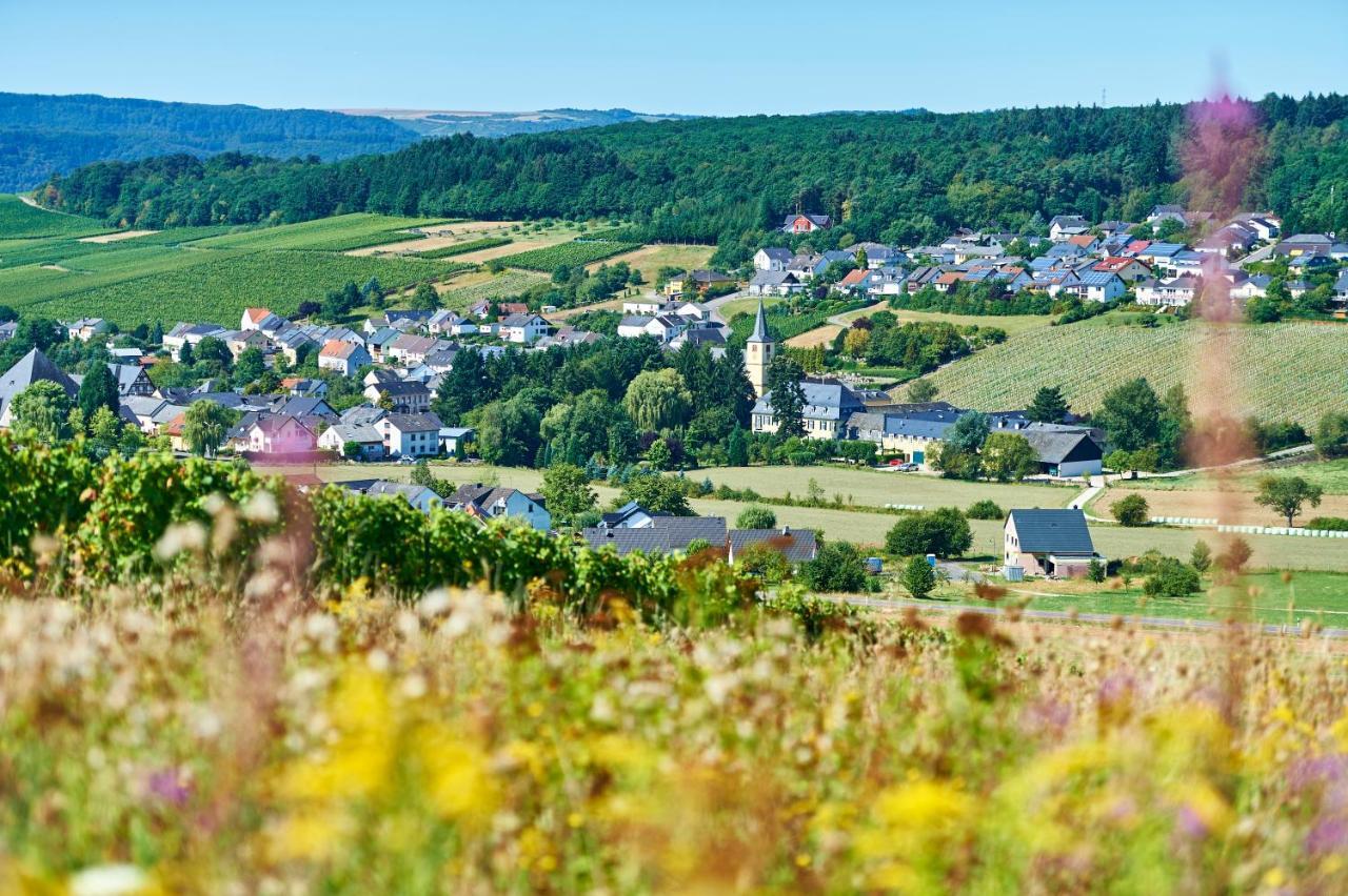 Ferienweingut Willems Oberemmel 외부 사진